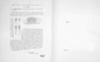 Puccinia porri image